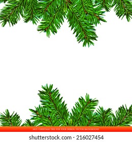 Detailed frame with fir. Christmas background. Vector illustration. 