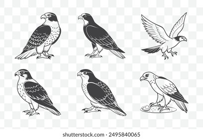 Detailed Goshawk Line Art Vector Set Perfect for Artistic Designs and Illustrations