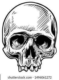 Detailed graphic hand drawn realistic black   white angry human skull without lower jaw  Isolated white background  Tattoo outline  Vector icon 