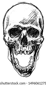 Detailed graphic hand drawn realistic black and white angry human skull with open jaw. Isolated on white background. Tattoo outline. Vector icon.