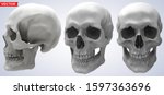 Detailed graphic photorealistic black and white human skulls. On gray background. Vector icon set. Side and front view.