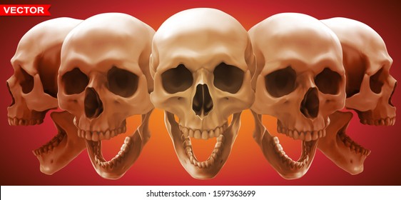 Detailed graphic photorealistic black and white smiling human skulls with jaw. On red background. Vector icon set. Side and front view.