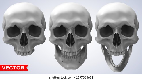 Detailed graphic photorealistic cool black and white human skulls. On gray background. Vector icon set.