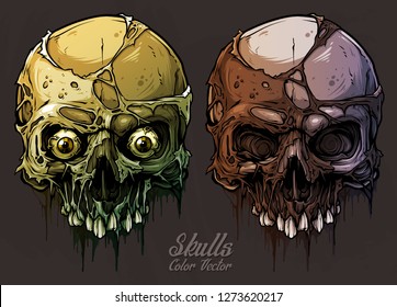 Detailed graphic realistic cool colorful human skulls without lower jaw  and pieces dead skin   eyes  On gray grunge background  Vector icon set 