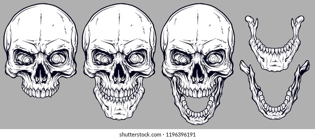 Detailed graphic realistic cool white human skulls and lower jaws. On gray background. Vector icon set.