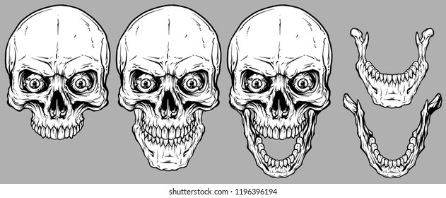 Detailed graphic realistic cool white human skulls with crazy eyes and lower jaws. On gray background. Vector icon set.