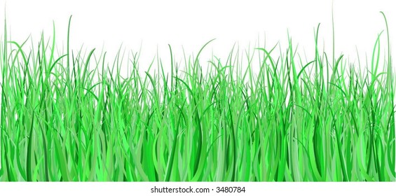 Detailed Grass Each Blade Grass Separate Stock Vector (royalty Free 