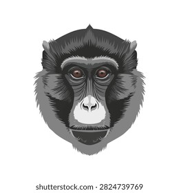 Detailed Grayscale Vector Portrait of a Macaque Monkey Head Isolated on Plain White Background