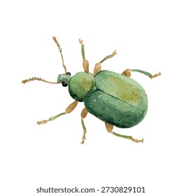 Ilustración vectorial detallada de escarabajo verde, perfecta para la naturaleza, la biología o los diseños con temas de jardinería. Ideal para materiales educativos y proyectos de ecología.