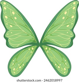 Detailed green butterfly wings vector illustration