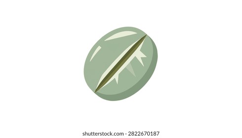 detailed green coffee bean close up isolated on white background showing natural texture and shape for organic food concept