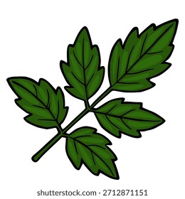 Ilustración vectorial detallada de la rama de la hoja verde con contornos oscuros y sombreado sutil.