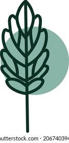 Hoja verde detallada, ilustración, vector, sobre fondo blanco.