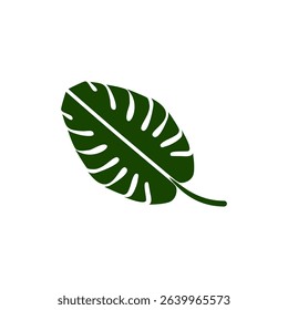 Detailed green monstera leaf against a clean background showcasing its unique shape and texture