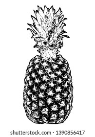 Detailed grunge illustration of pineapple in black and white.