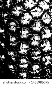 Detailed grunge illustration of pineapple in black and white.