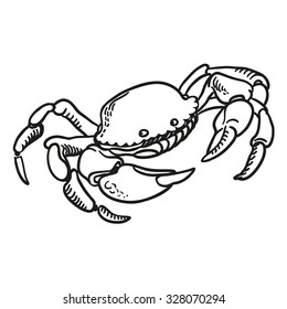 Detailed hand drawing Crab. Vector