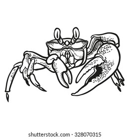 Detailed hand drawing Crab. Vector