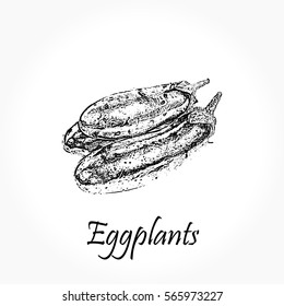 Detailed hand drawn black vector illustration of eggplants isolated on white