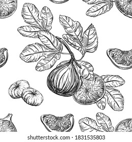 Detailed hand drawn black and white illustration seamless pattern of figs, leaf. sketch. Vector. Elements in graphic style label, card, sticker, menu, package