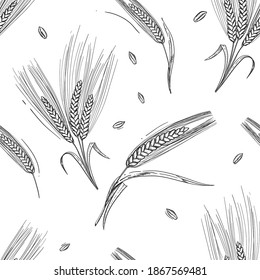 Detailed hand drawn black and white illustration seamless pattern of rye ear, leaf, grain, agriculture. sketch. Vector. Elements in graphic style label, card, sticker, menu, package.