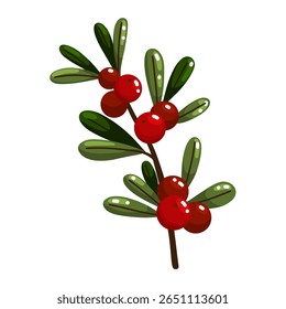 Detailed hand drawn doodle illustration of a branch adorned with red berries and green leaves. Natural digital artwork perfect for autumn and winter themes, holiday designs, botanical illustrations, a