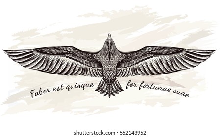 Detailed hand drawn eagle for tattoo art   Boho chic Vector illustration  Flight falcon 