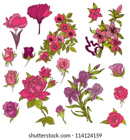 Detailed Hand Drawn Flowers - for scrapbook and design in vector