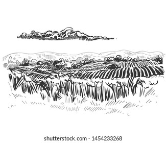 Detailed hand drawn ink black and white illustration of field, tree. sketch. Vector eps 8