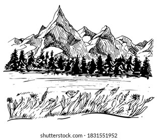 Detailed hand drawn ink black and white illustration of mountains, peak, forest, field. sketch. Vector. Elements in graphic style label, card, sticker, menu, package