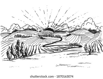 Detailed hand drawn ink black and white illustration of grapevine, vineyard field. sketch. Vector. Elements in graphic style label, card, sticker, menu, package.