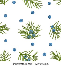 Detailed hand drawn juniper berry on branch vector illustration. Botanical, medical plant. seamless pattern illustration for fabric, textile, wrapping paper, wallpaper, gin label packaging design