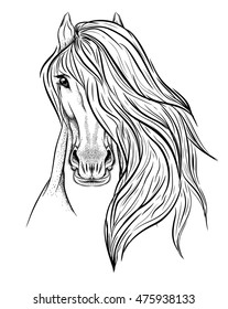 Detailed hand drawn muzzle of horse.Sketch for tattoo.
