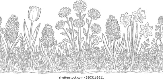Detailed hand drawn spring flower border featuring tulips, daffodils, hyacinths, and wildflowers in black and white line art. Ideal for coloring books, garden themed designs, botanical projects, printable activities, and decorative nature illustrations.