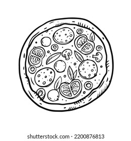 Detailed hand drawn top view pizza with vegetables, cheese and herbs. Perfect for menu decoration, food branding and recipe illustrations.