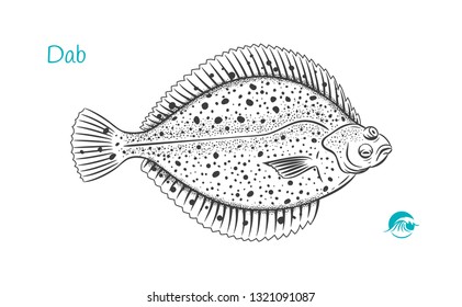 Detailed hand drawn vector black and white illustration of Dab fish