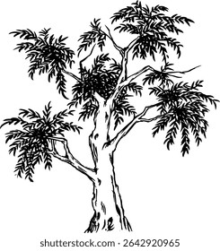 Detailed Handcrafted Botanical Tree Drawing in Monochrome Chinese Ink – Minimalist Sumi-e Brush Illustration Vector for Branding, Meditation Art Prints, Wallpaper and Nature-Lover Gifts