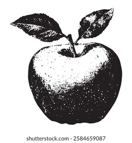 detailed hand-drawn apple vector illustration with leaves, created in vintage engraving style, perfect for packaging, labels, or organic food branding