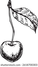 Detailed hand-drawn black and white illustration of a single cherry with leaf. Vintage botanical fruit sketch on white background.