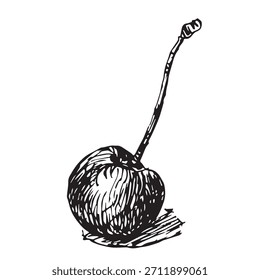Detailed Hand-Drawn Cherry Vector Illustration in Vintage Engraving and Hatching Style, Black and White Ink Sketch with Stem.