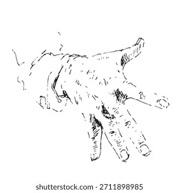 Ilustración vectorial de mano humana detallada dibujada a mano en estilo de grabado y eclosión de Antiguas, palma abierta que alcanza o gesto de agarre.