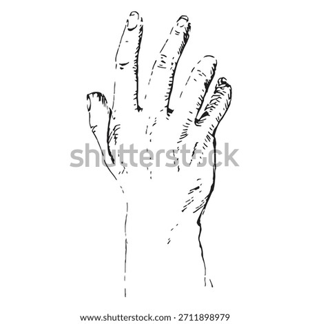 Detailed Hand-Drawn Human Hand Vector Illustration in Vintage Engraving and Hatching Style, Open Palm Reaching or Grasping Gesture.