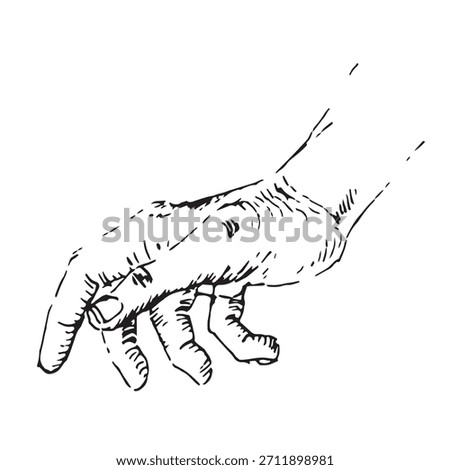 Detailed Hand-Drawn Human Hand Vector Illustration in Vintage Engraving and Hatching Style, Open Palm Reaching or Grasping Gesture.