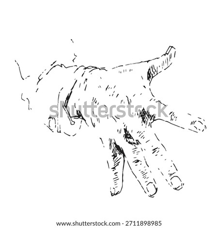 Detailed Hand-Drawn Human Hand Vector Illustration in Vintage Engraving and Hatching Style, Open Palm Reaching or Grasping Gesture.
