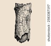 A detailed hand-drawn illustration of a cracked and aged tree bark, showcasing intricate texture and natural patterns.