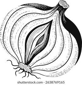 Detailed Hand-Drawn Illustration of a Cut Onion