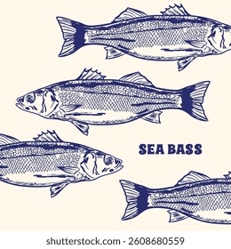 Detailed hand-drawn illustration of sea bass in vintage ink sketch style. Ideal for seafood branding, restaurant menus, fishing guides, cookbooks, and marine-themed decor. 