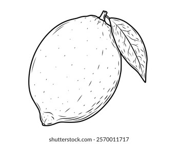 Detailed Hand-Drawn Lemon Sketch Vector: Whole Citrus Fruits with Leaves and Sliced Wedges Isolated on White Background – Perfect for Vegan Cuisine and Nature-Inspired Design Projects.