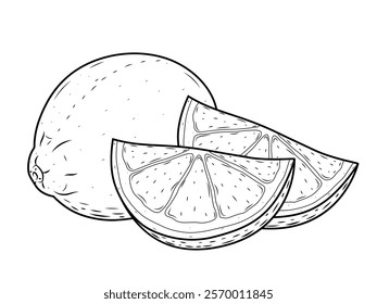 Detailed Hand-Drawn Lemon Sketch Vector: Whole Citrus Fruits with Leaves and Sliced Wedges Isolated on White Background – Perfect for Vegan Cuisine and Nature-Inspired Design Projects.