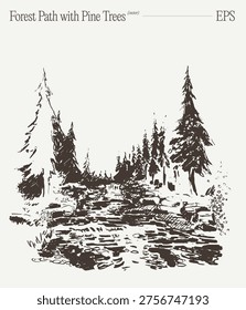 A detailed hand-drawn sketch of a forest path winding through tall pine trees with a rocky stream and scattered boulders in the foreground, rendered in expressive vintage engraving style with rich linework.